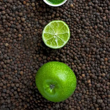 Green Vilnius Hotel 3* Vilnius