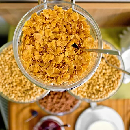 Green Vilnius Hotel Hotel Vilnius