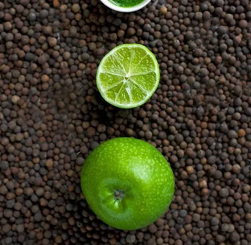 グリーン ヴィリニュス ホテル 3* ヴィリニュス