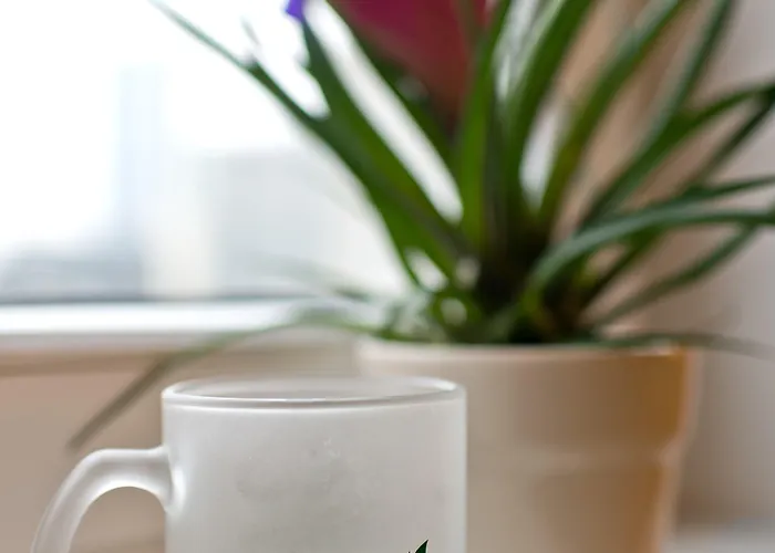 Green Vilnius Hotel 3*