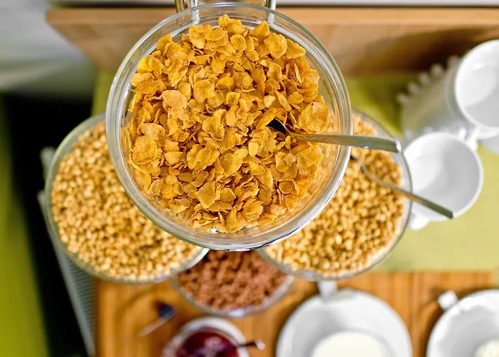 格林维尔纽斯酒店 酒店 维尔纽斯