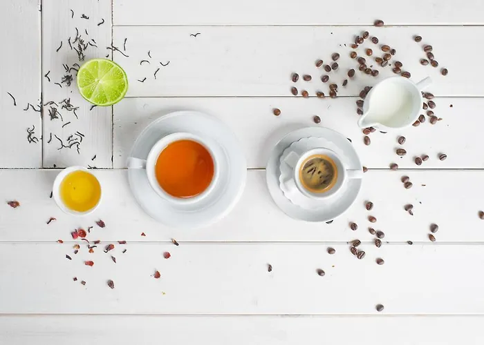 酒店 格林维尔纽斯酒店 维尔纽斯