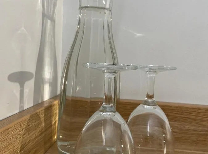 格林维尔纽斯酒店 酒店 3*