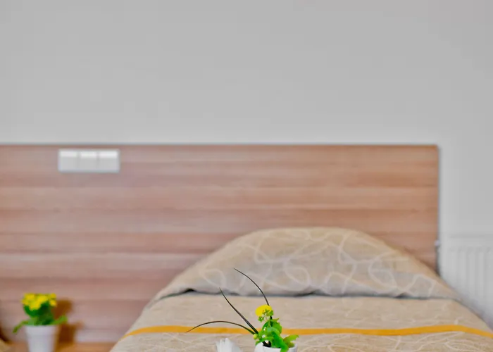 格林维尔纽斯酒店 维尔纽斯