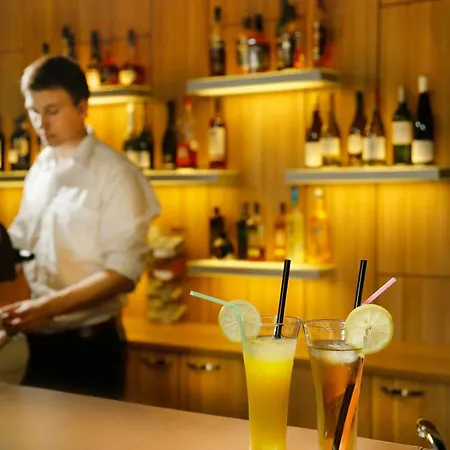 格林维尔纽斯酒店 酒店